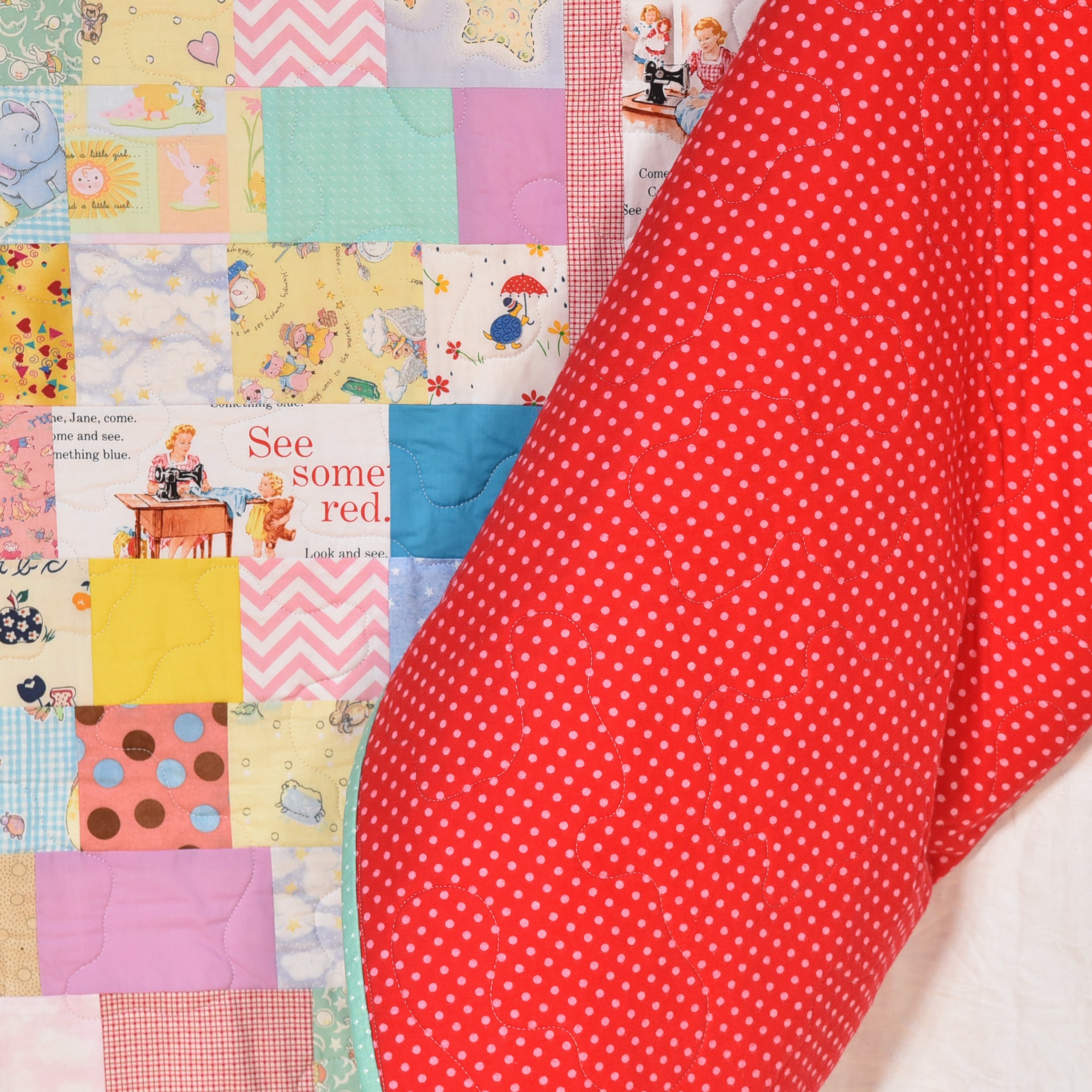 Fun With Dick And Jane I Spy Quilt